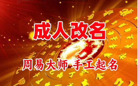 泰州市成人改名-找大师一对一改名先分析后改名